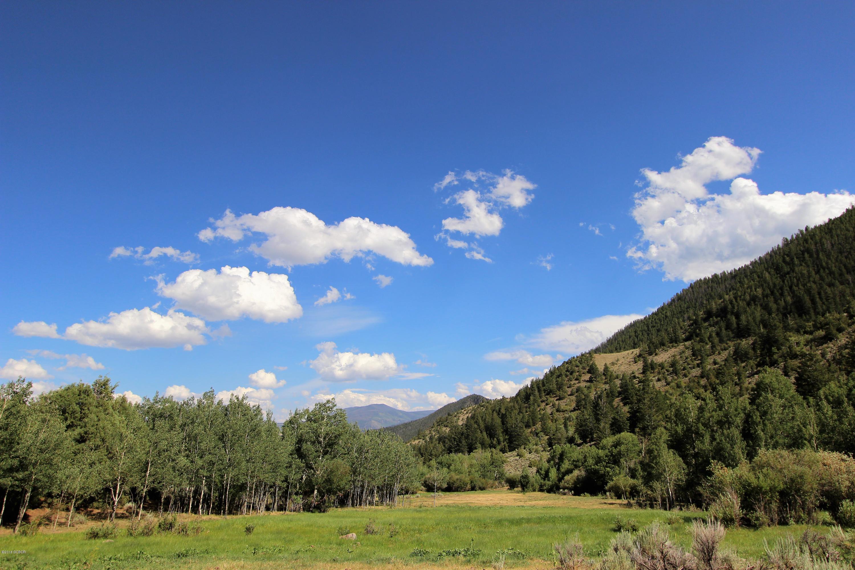 Tbd Copper Spur Road Bond, CO 80423 - Photo 2 of 41 a view of a big yard with potted plants
