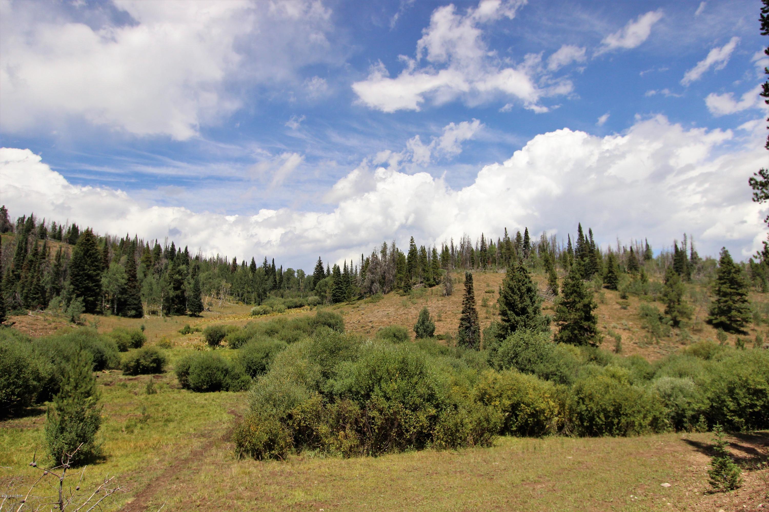 Tbd Copper Spur Road Bond, CO 80423 - Photo 21 of 41 a view of a bunch of trees