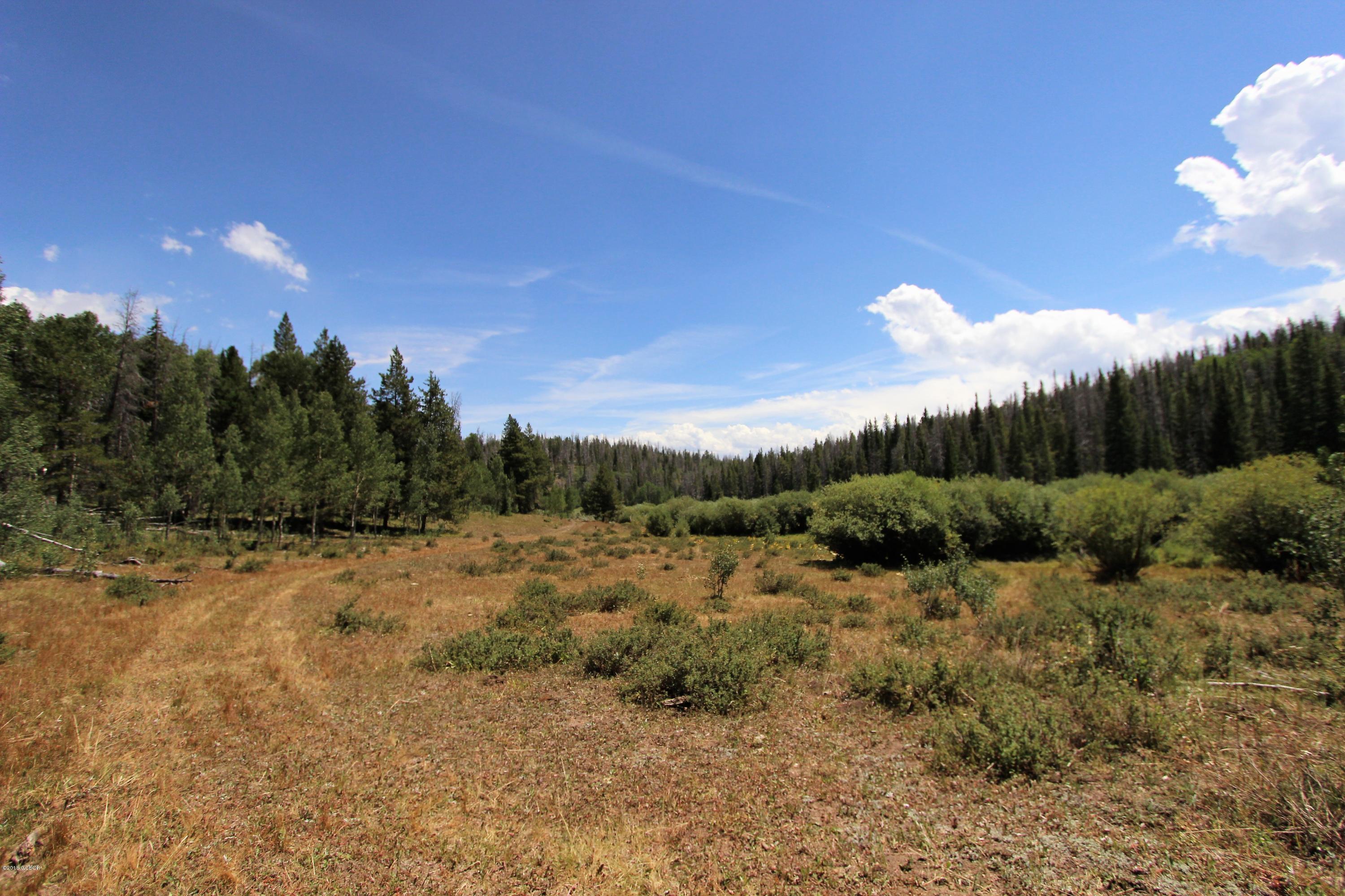 Tbd Copper Spur Road Bond, CO 80423 - Photo 24 of 41 a view of a dry yard with trees