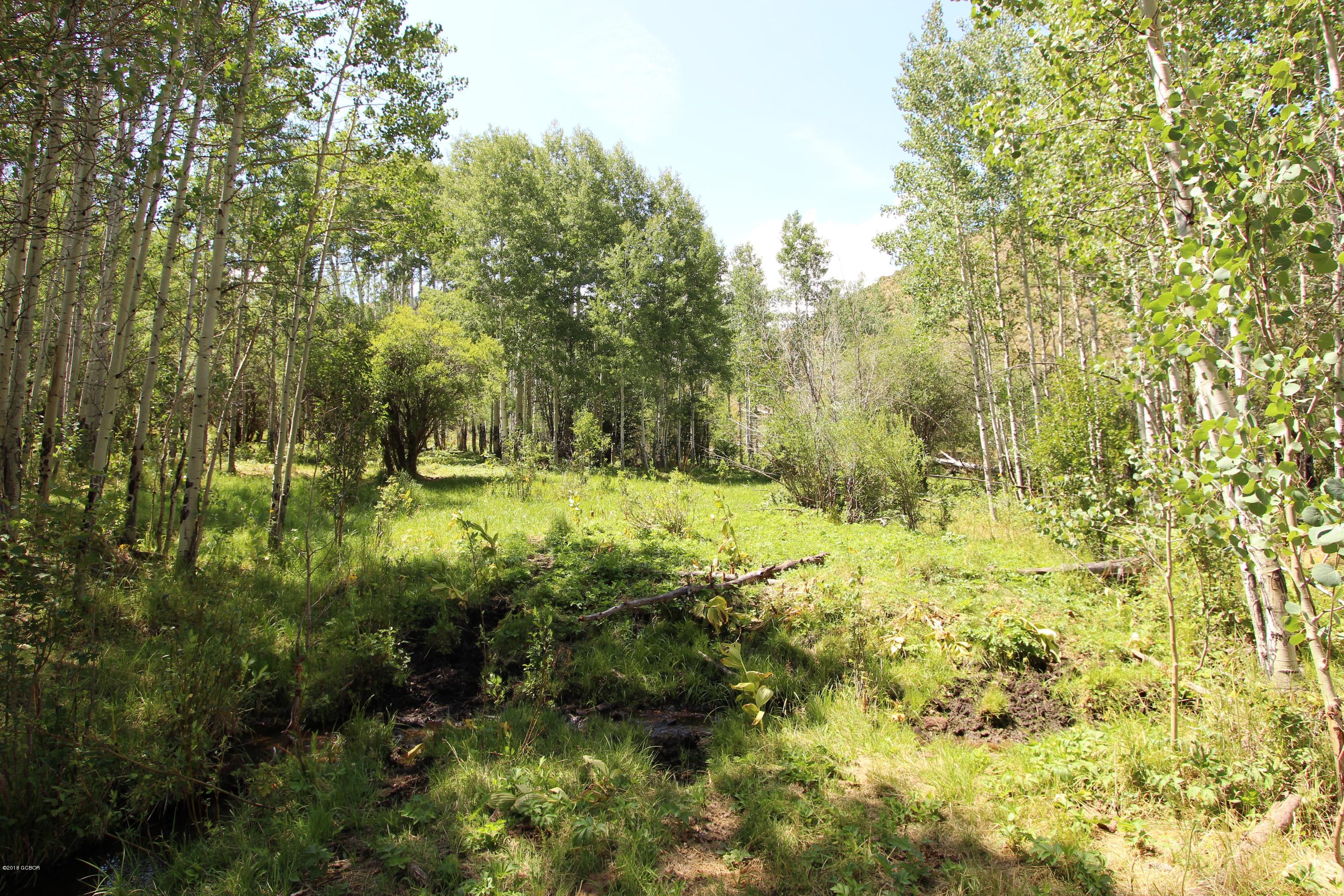 Tbd Copper Spur Road Bond, CO 80423 - Photo 25 of 41 a view of outdoor space and garden