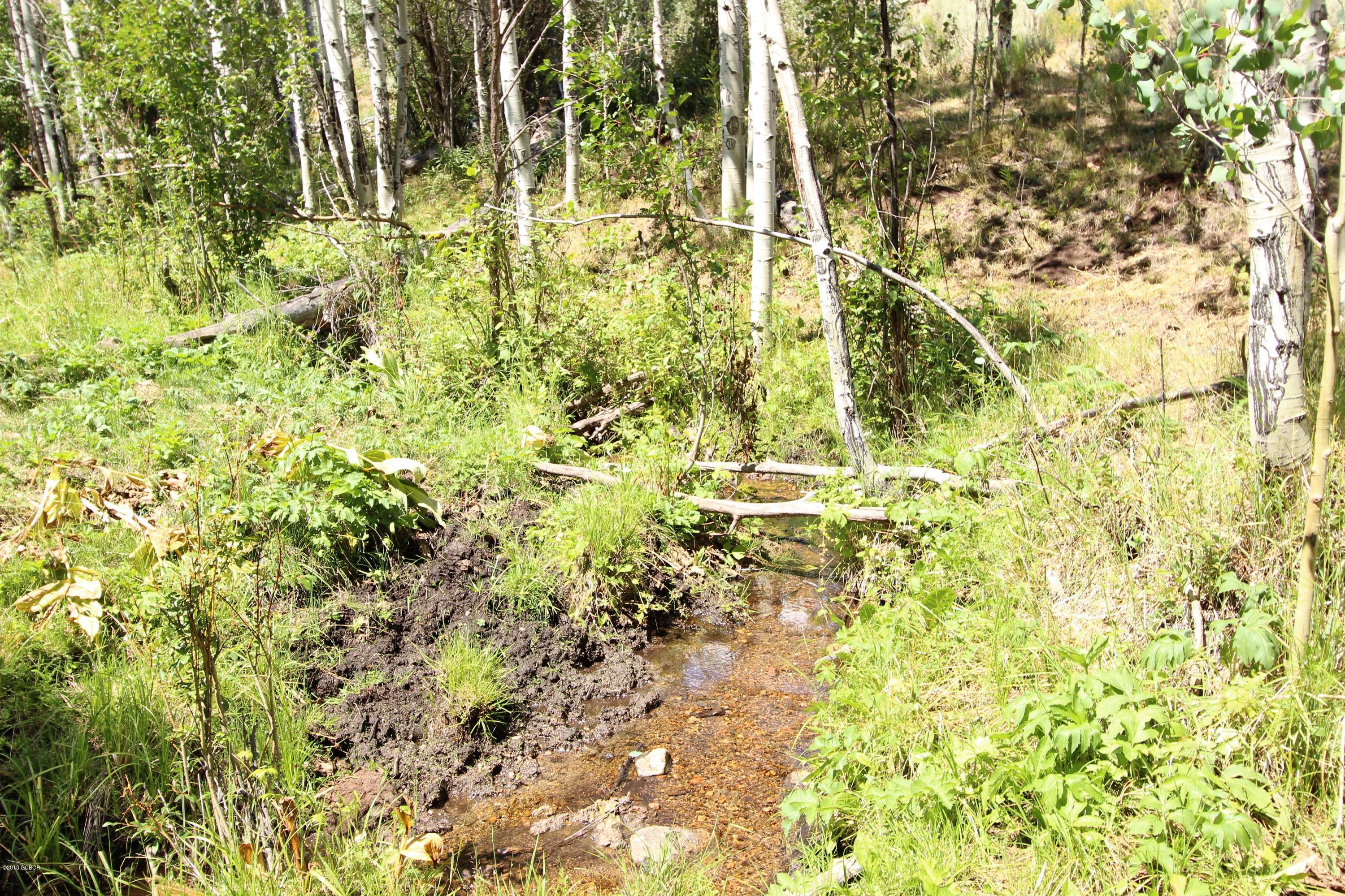 Tbd Copper Spur Road Bond, CO 80423 - Photo 26 of 41