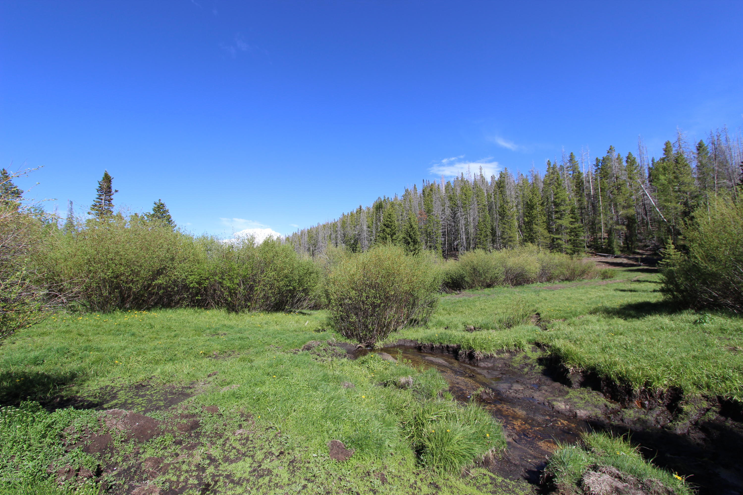 Tbd Copper Spur Road Bond, CO 80423 - Photo 9 of 41 a view of a green field with a tree in the background