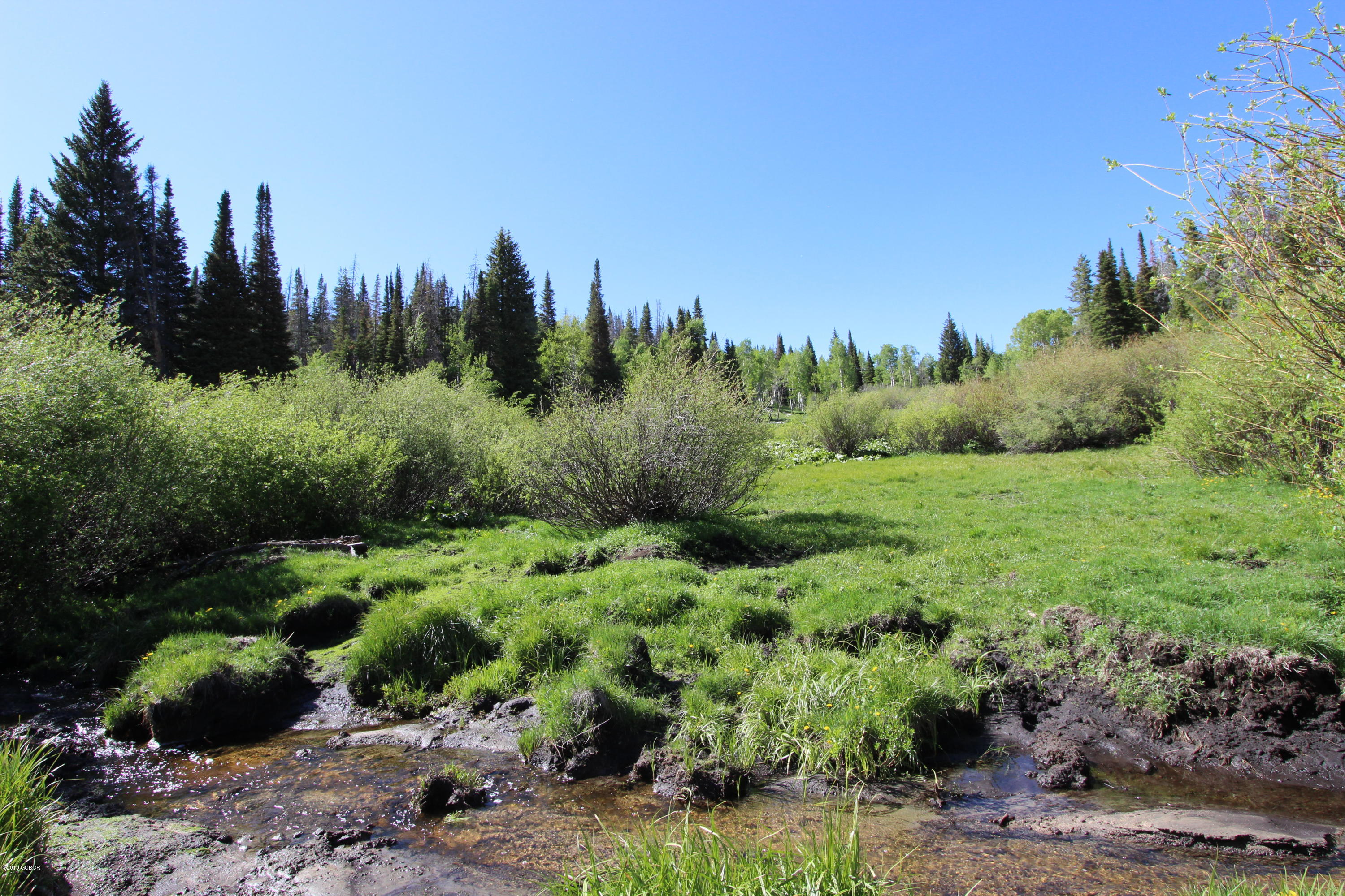 Tbd Copper Spur Road Bond, CO 80423 - Photo 10 of 41 a view of a garden with trees
