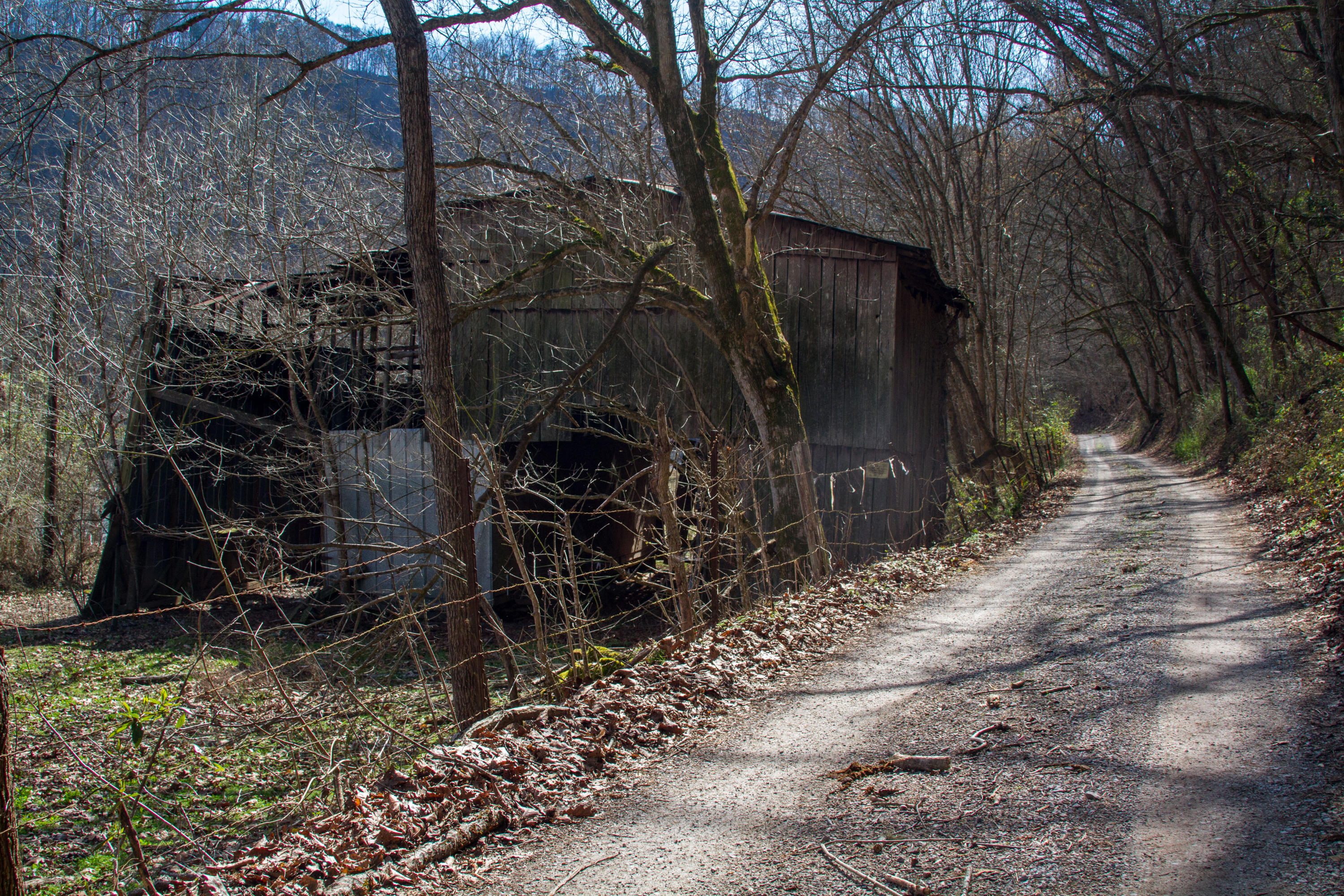 Clinch River Road Tazewell, TN 37879 - Photo 11 of 13 ClaibourneRiverLot-11