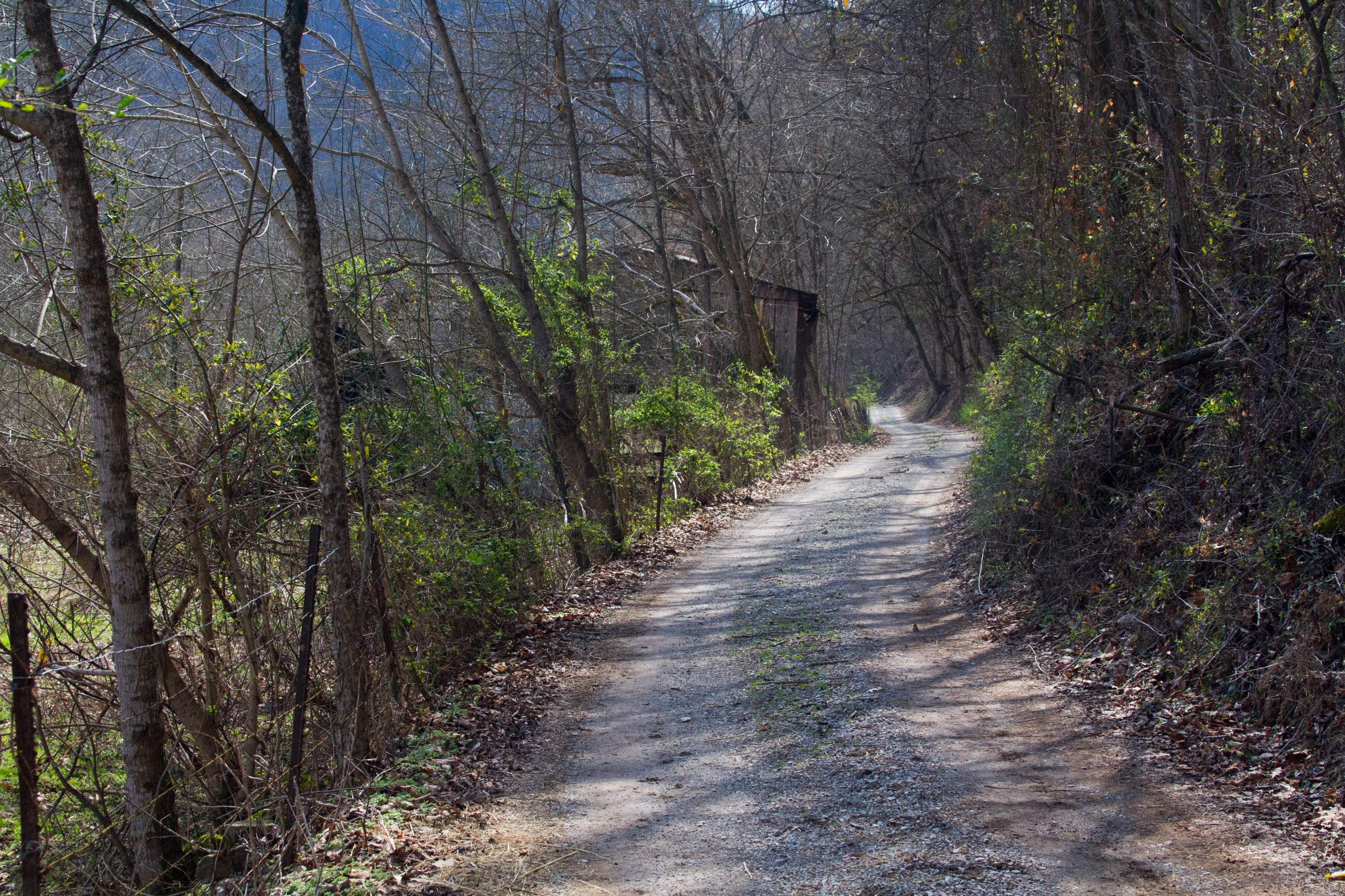 Clinch River Road Tazewell, TN 37879 - Photo 13 of 13 ClaibourneRiverLot-13