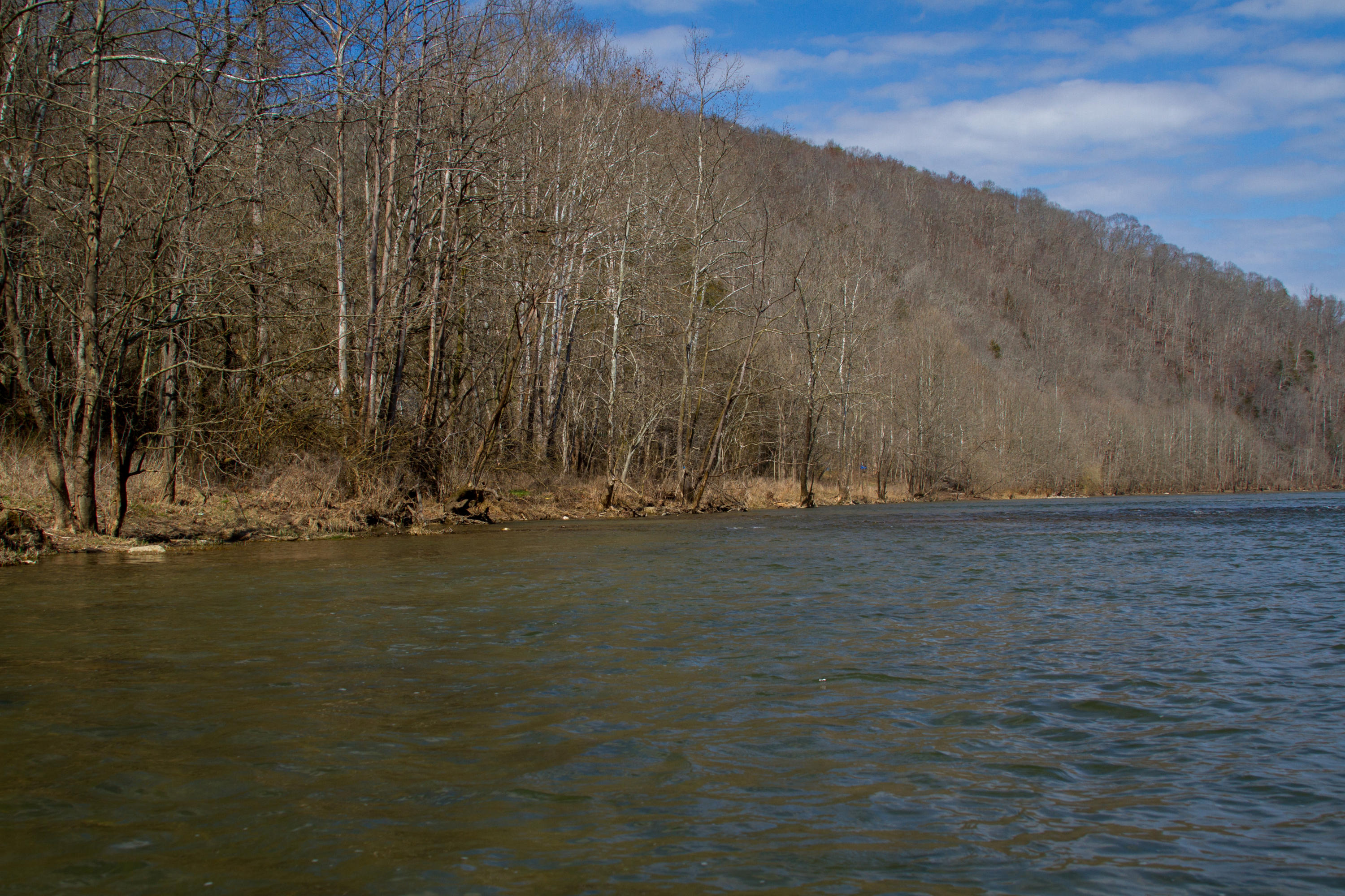 Clinch River Road Tazewell, TN 37879 - Photo 4 of 13 ClaibourneRiverLot-4
