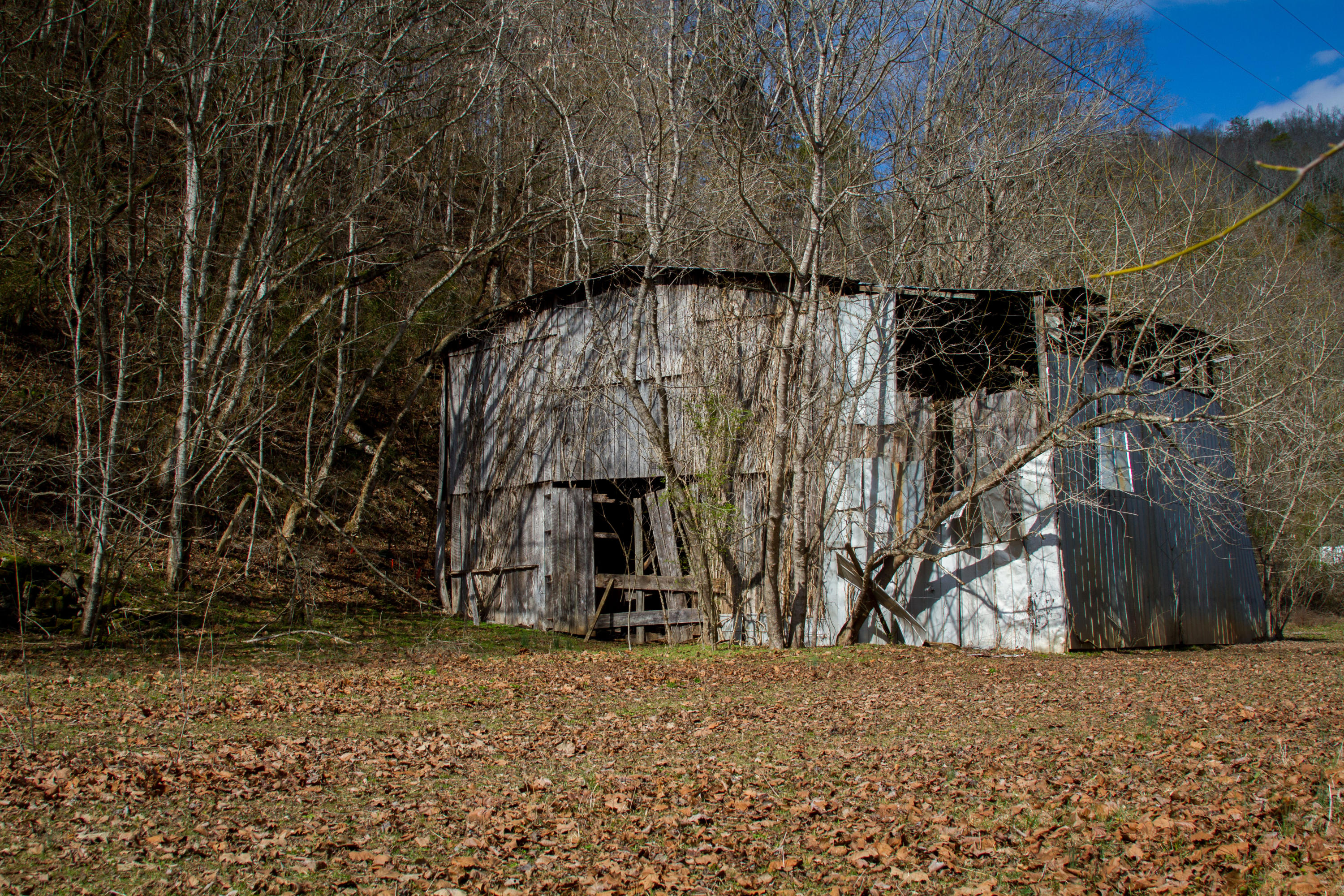 Clinch River Road Tazewell, TN 37879 - Photo 8 of 13 ClaibourneRiverLot-8