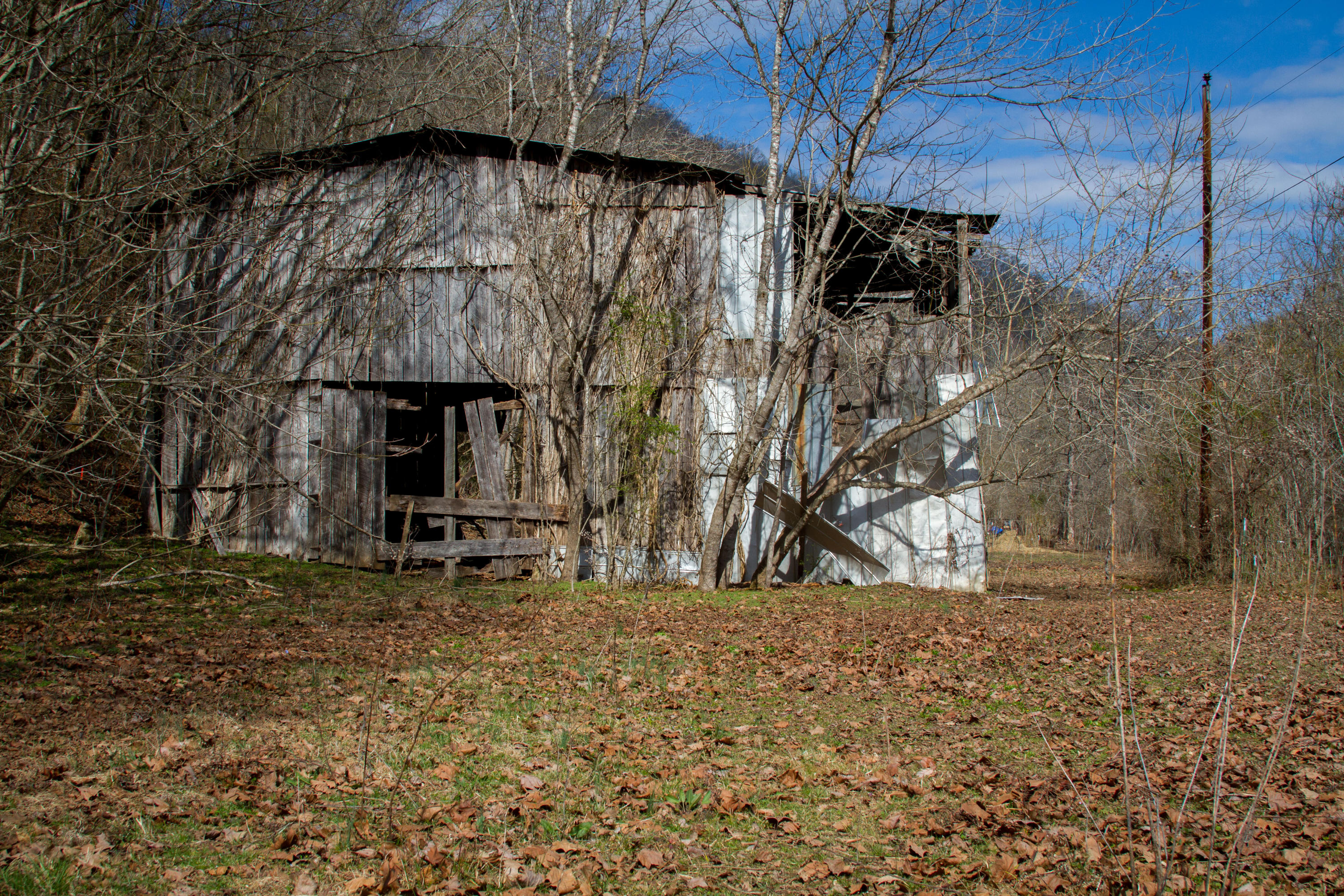 Clinch River Road Tazewell, TN 37879 - Photo 9 of 13 ClaibourneRiverLot-9