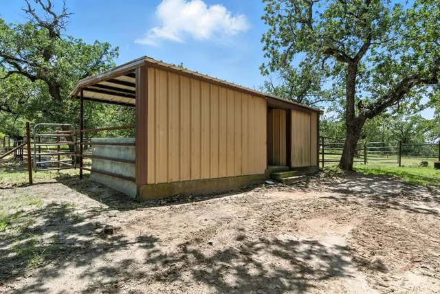 a backyard of a house with a large tree