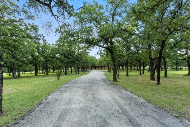 a green field with lots of trees