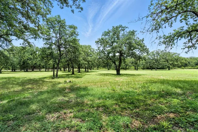 a view of field with trees