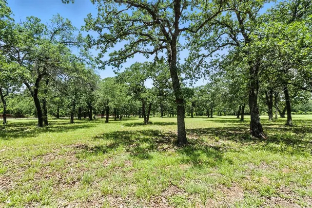 a view of a backyard with trees