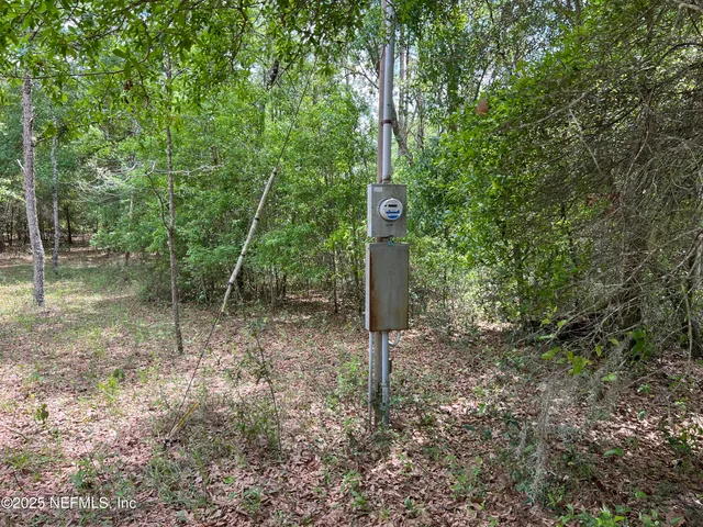 a view of a backyard