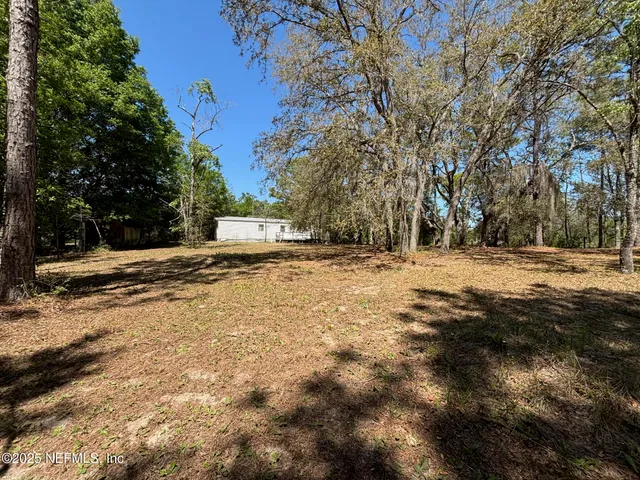 a view of a yard with trees