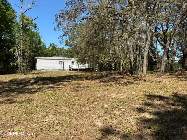 a view of a forest with trees in the background