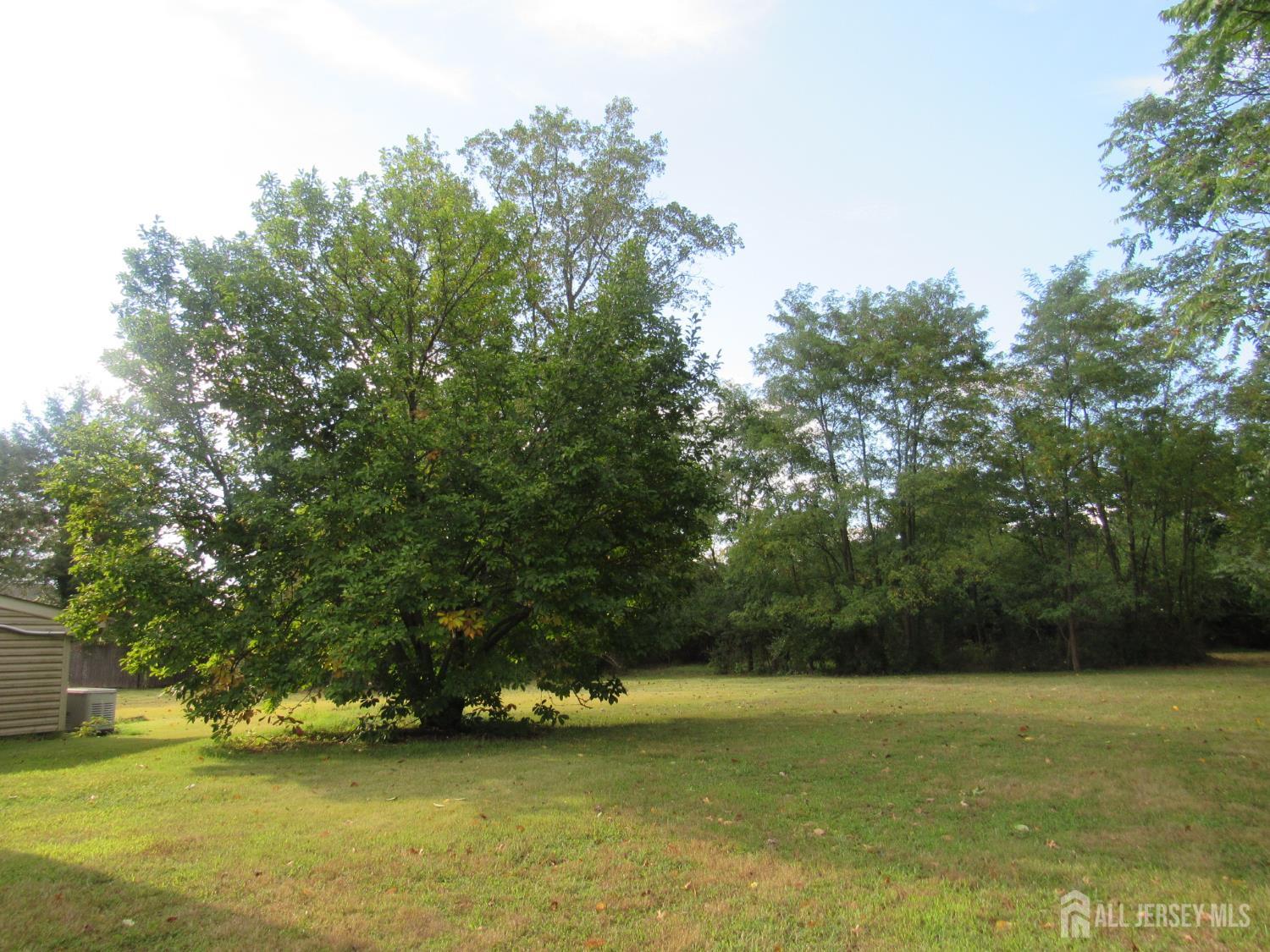 206 Overbrook Road Piscataway, NJ 08854 - Photo 2 of 34