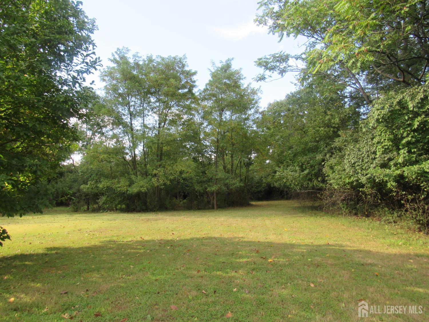 206 Overbrook Road Piscataway, NJ 08854 - Photo 3 of 34 a view of a lake from a yard