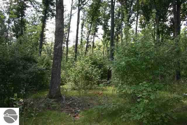 1009 Tranquil Point Road Traverse City, MI 49696 - Photo 13 of 25 1729526-12.JPG