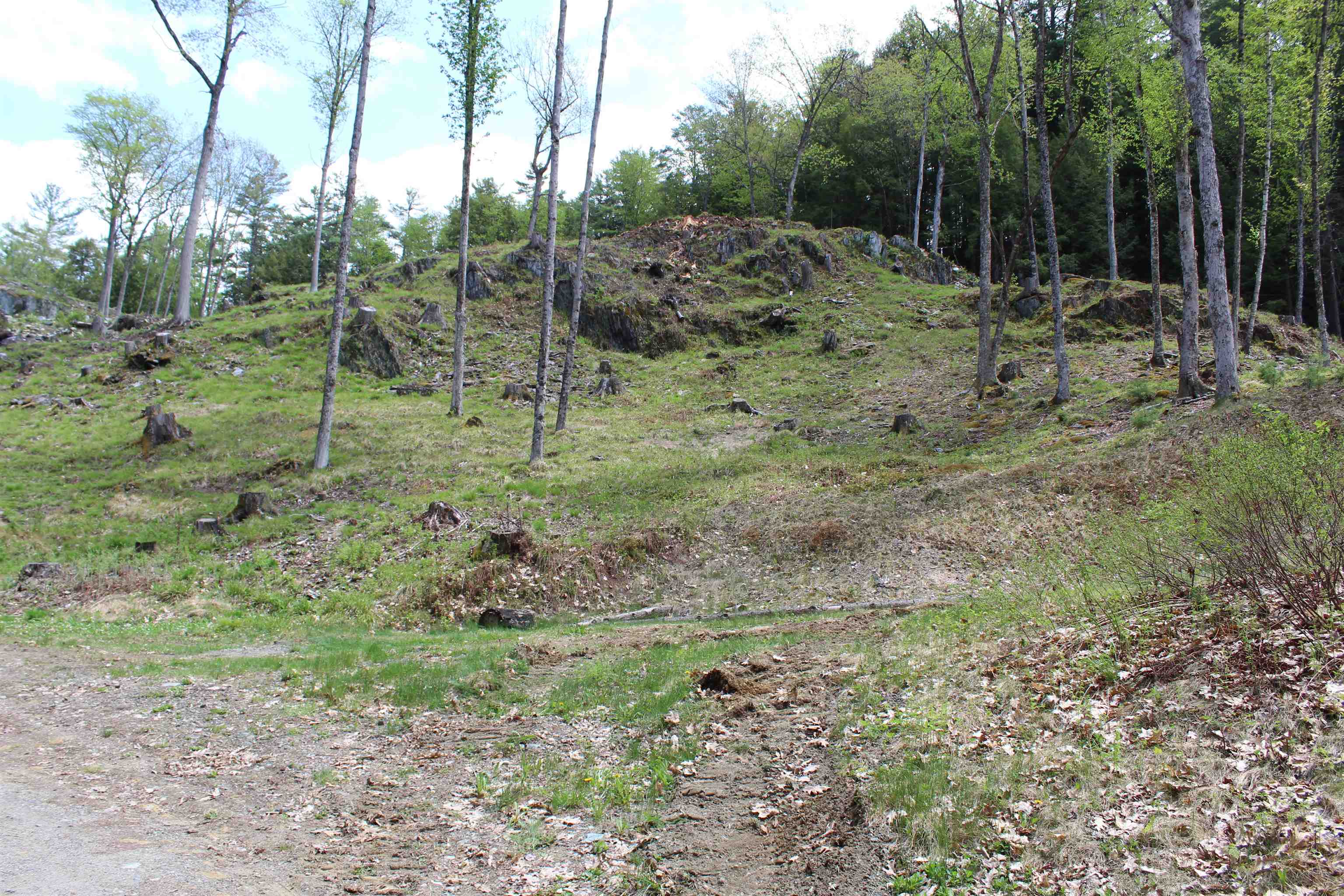Lot 23-24 Wetherbee Road Lyman, NH 03585 - Photo 36 of 54