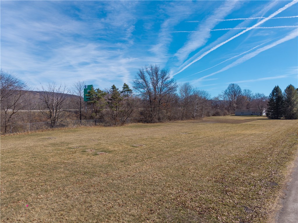 Mcwhorter Road Dansville, NY 14437 - Photo 4 of 25