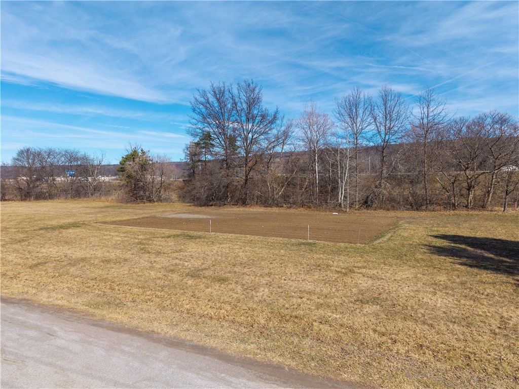 Mcwhorter Road Dansville, NY 14437 - Photo 6 of 25