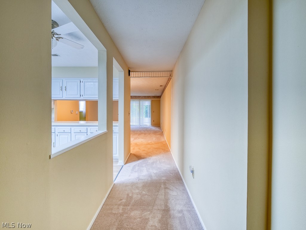 8941 West Ridge Road, Unit A Elyria, OH 44035 - Photo 6 of 30 front Corridor featuring light colored carpet
