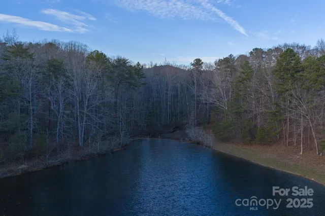 a view of a yard from a yard