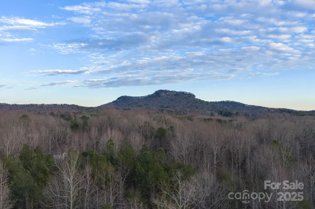 a view of a lush green mountain