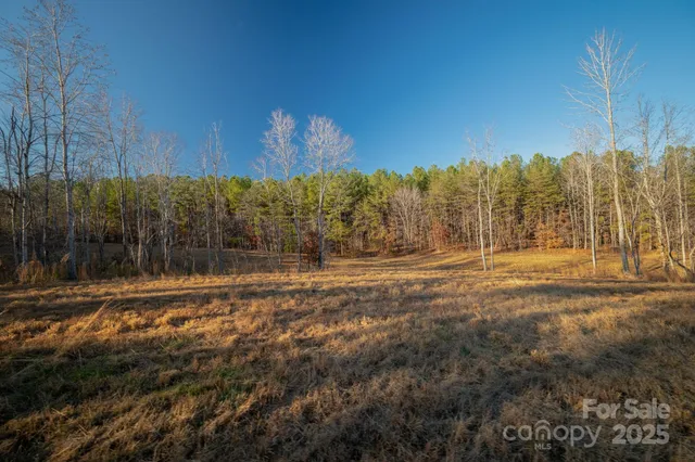 a view of a yard with an trees