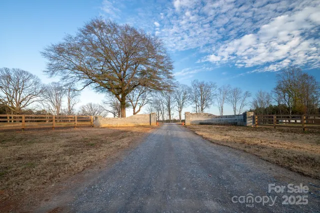 a view of road with large trees