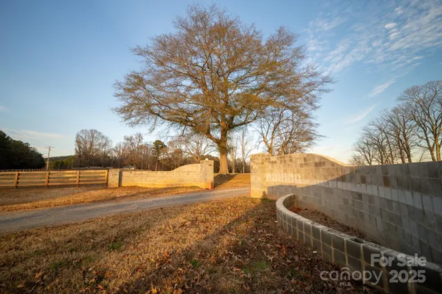 a view of large trees with empty space