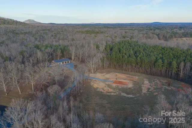 a view of a dry yard with green space