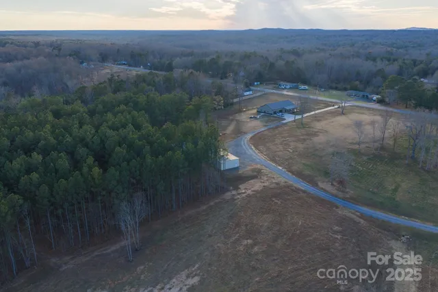 a view of a dry yard with green space