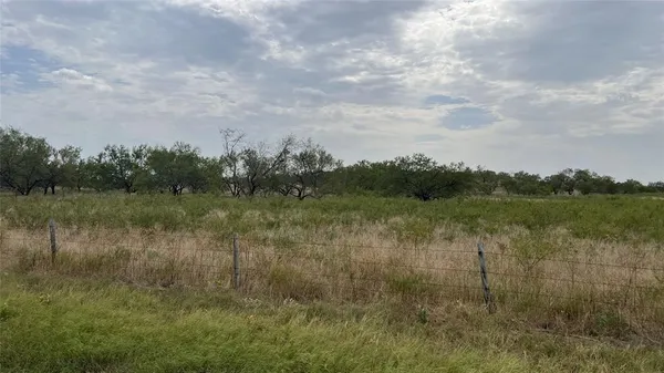 a view of a lake from a yard