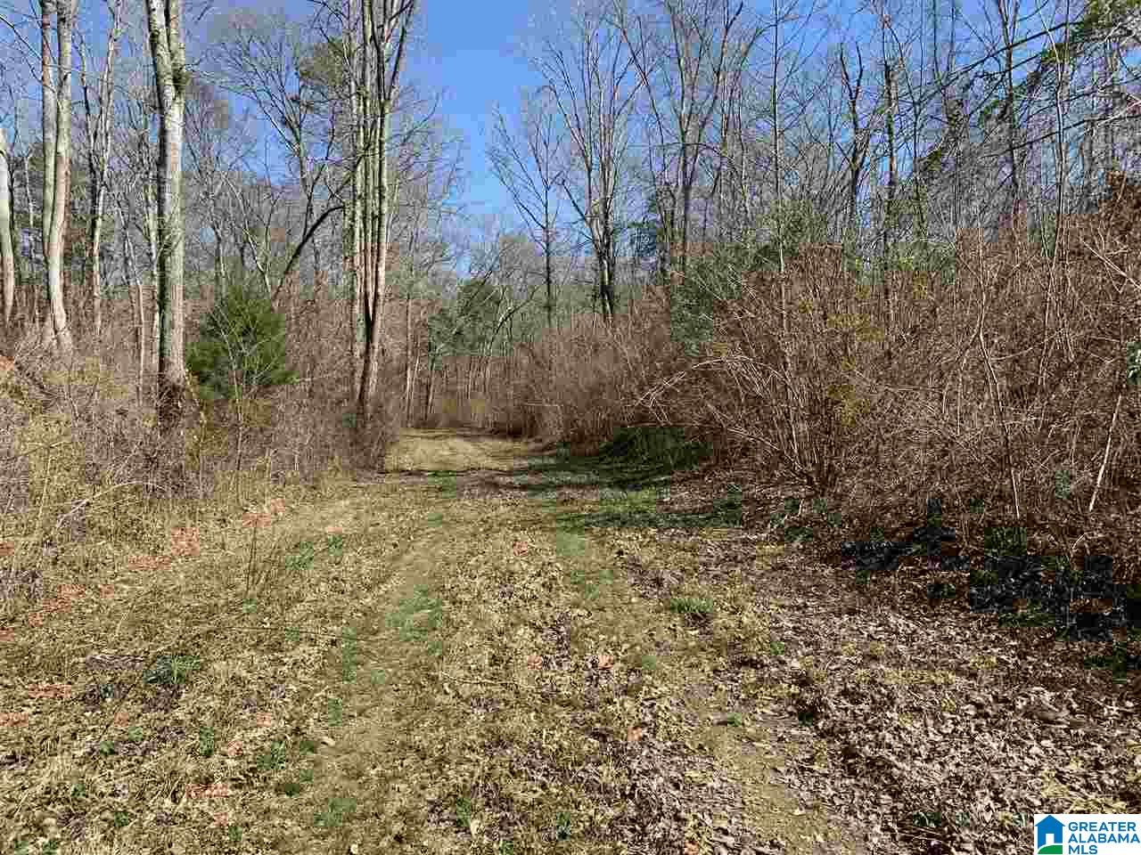 201 Barclay Road, Unit 115 AC Talladega, AL 35160 - Photo 10 of 30