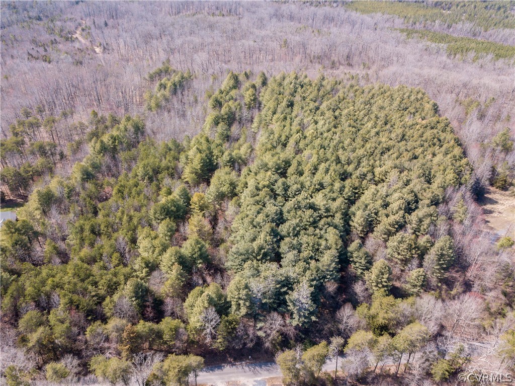 Lot 12 Sugar Fork Road Cumberland, VA 23040 - Photo 8 of 16 Gallery Image 8