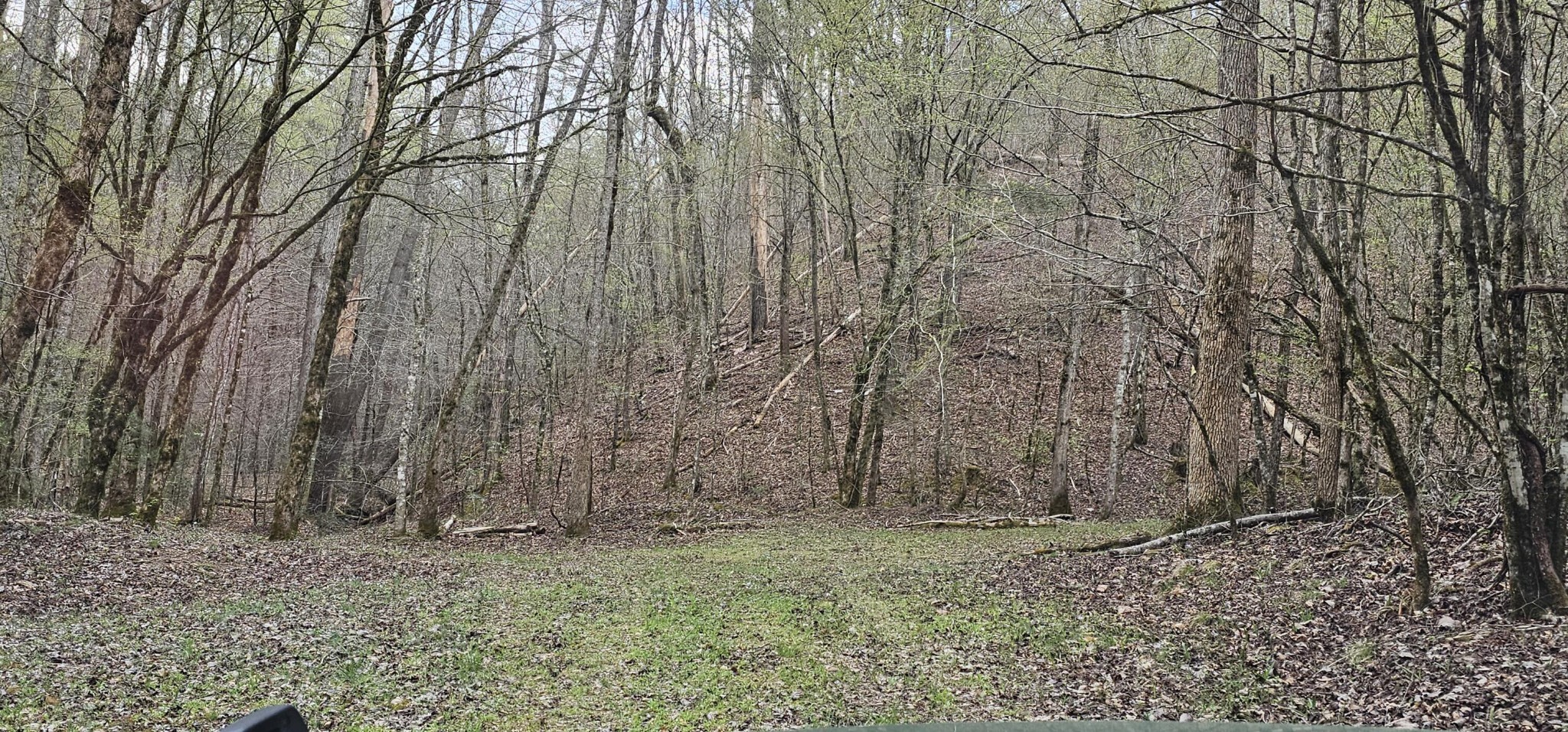 337 Price Road Reliance, TN 37369 - Photo 13 of 19