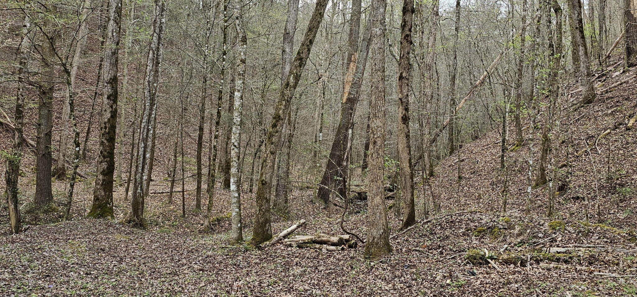 337 Price Road Reliance, TN 37369 - Photo 14 of 19