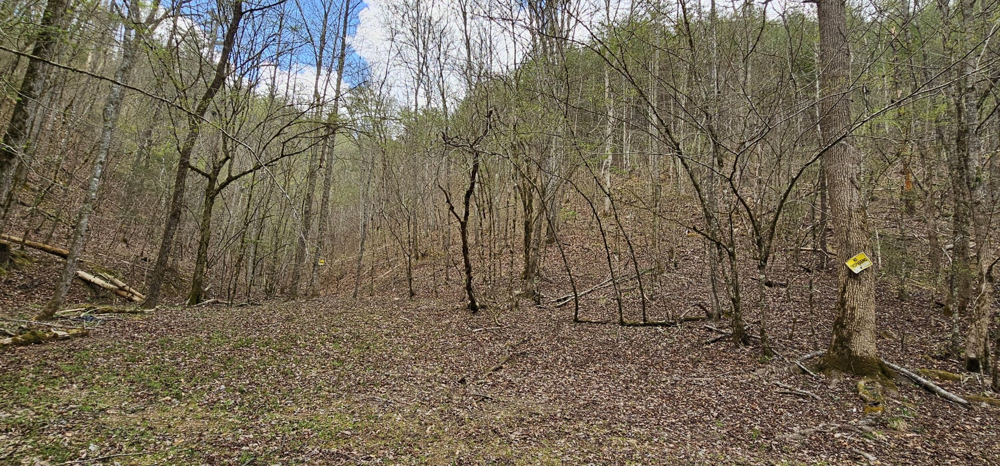 337 Price Road Reliance, TN 37369 - Photo 15 of 19