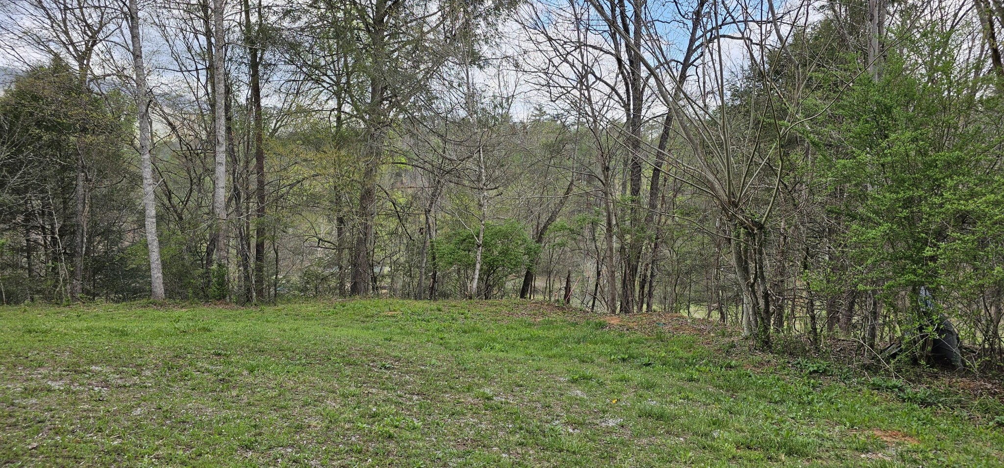 337 Price Road Reliance, TN 37369 - Photo 16 of 19