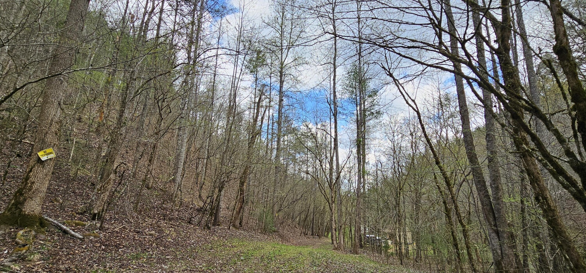 337 Price Road Reliance, TN 37369 - Photo 17 of 19