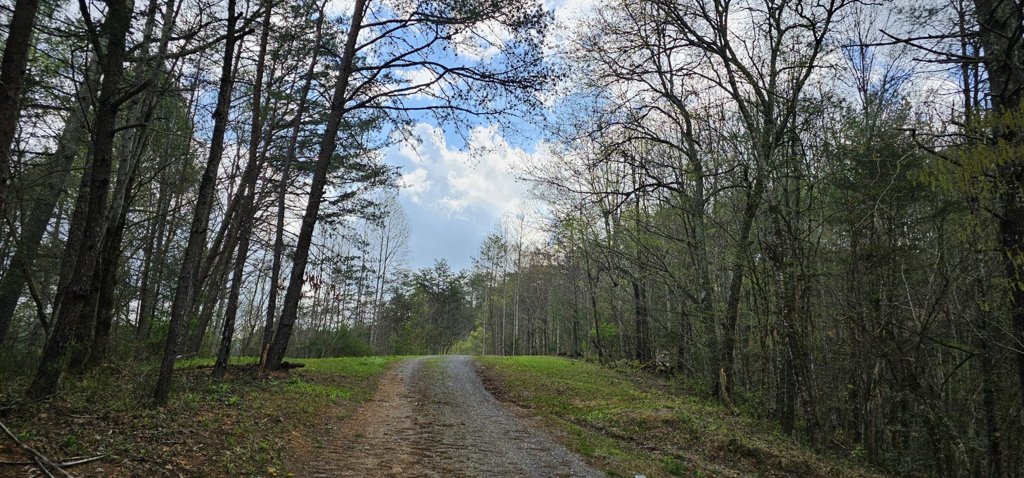 337 Price Road Reliance, TN 37369 - Photo 19 of 19