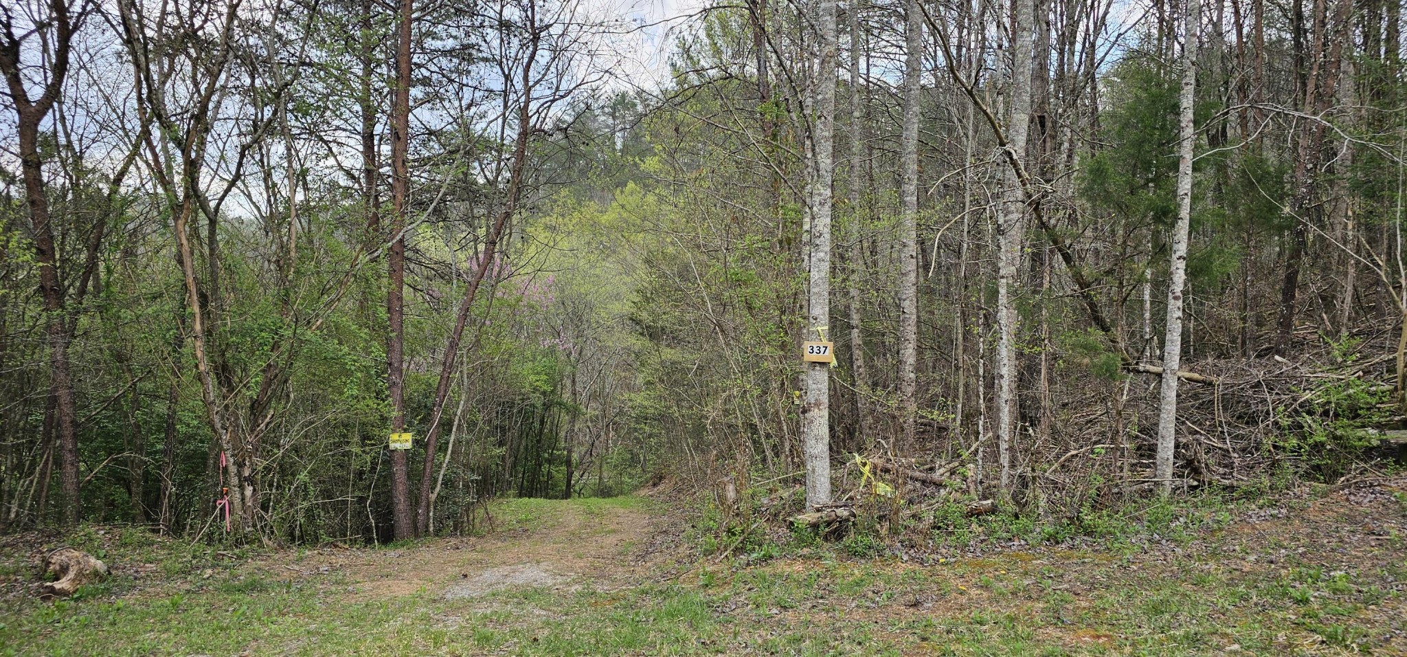 337 Price Road Reliance, TN 37369 - Photo 3 of 19
