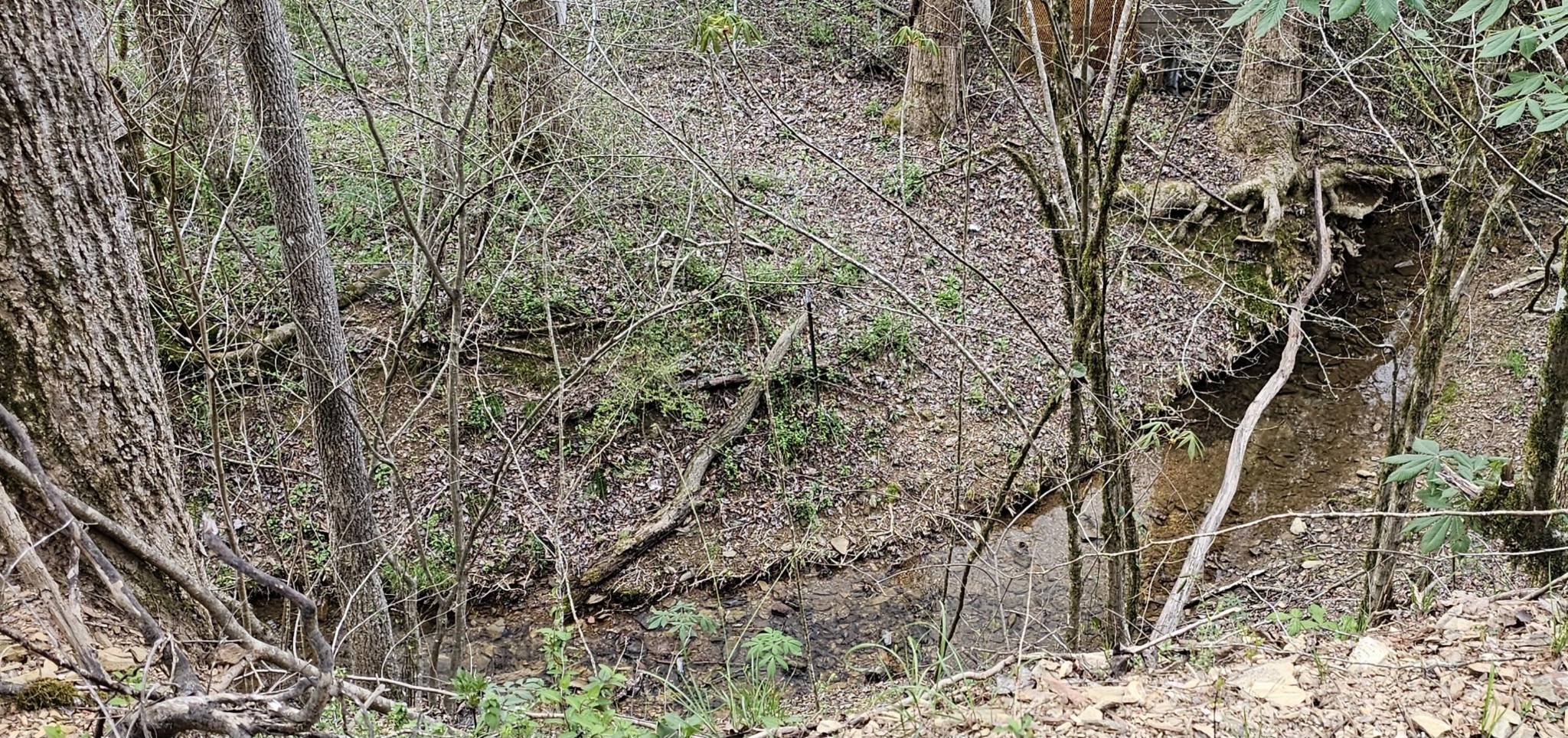 337 Price Road Reliance, TN 37369 - Photo 7 of 19
