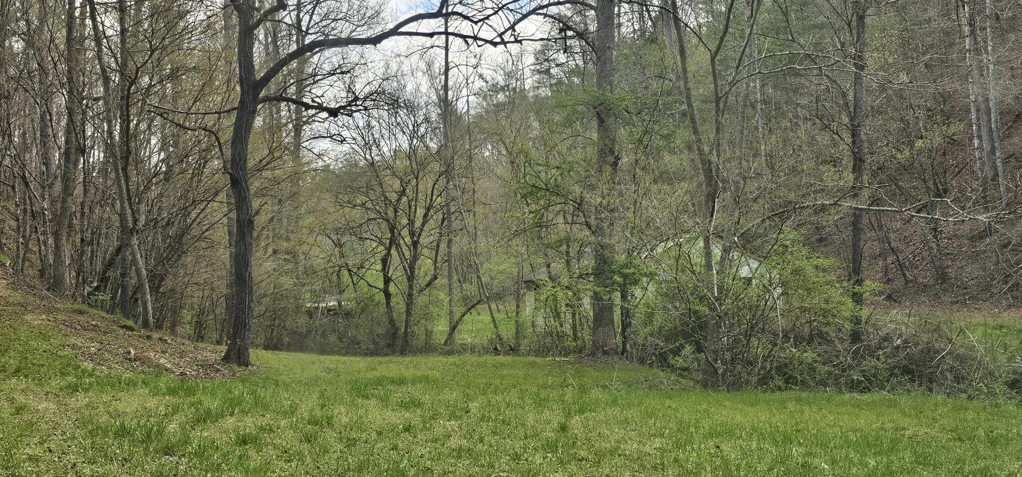 337 Price Road Reliance, TN 37369 - Photo 8 of 19