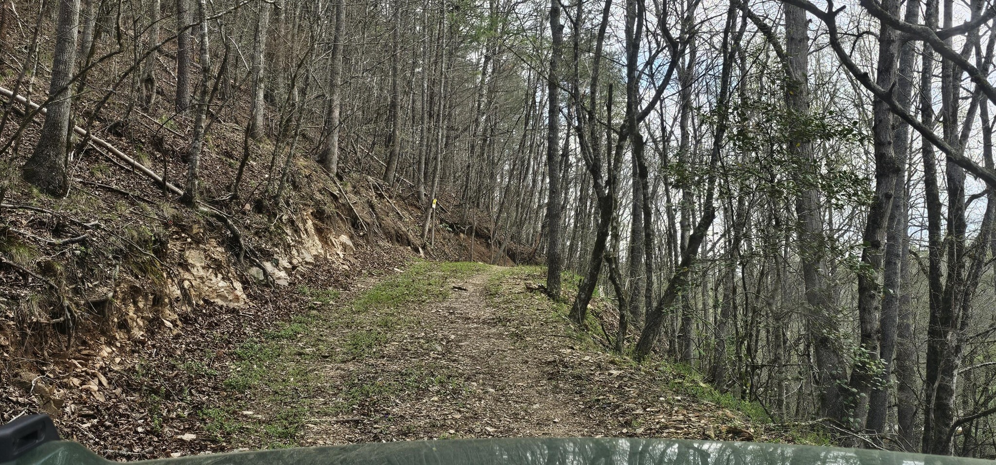 337 Price Road Reliance, TN 37369 - Photo 9 of 19