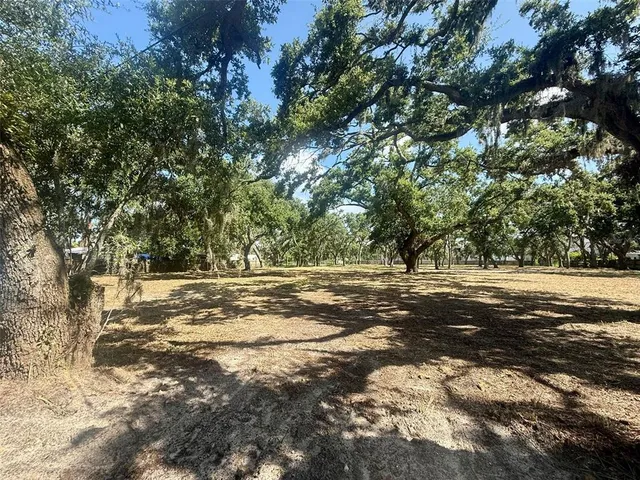 a view of a yard with large trees