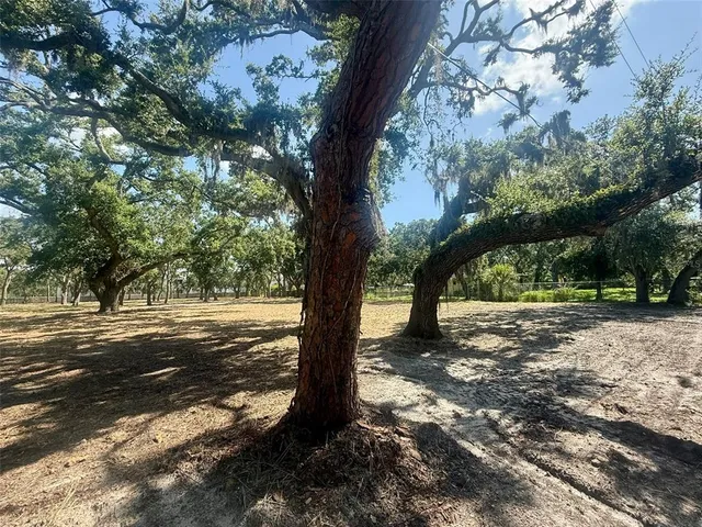 a view of road space with trees