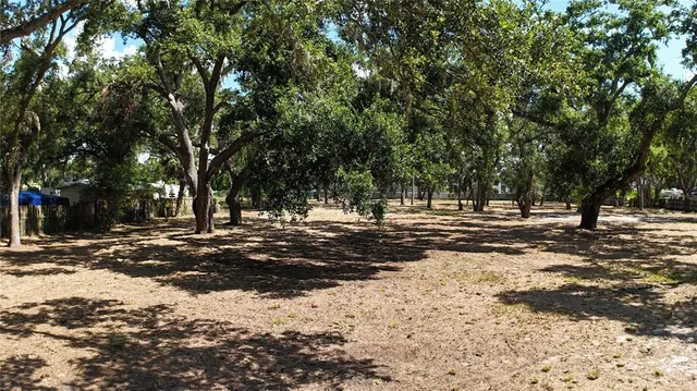 a view of road space with trees