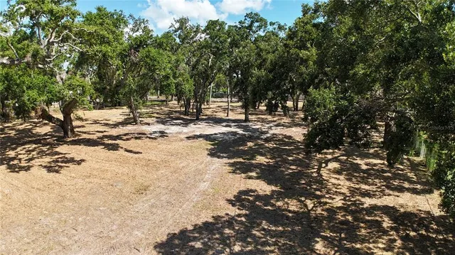 a view of a tree in the middle of a yard